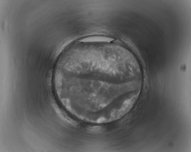 X0000114720058200911181414