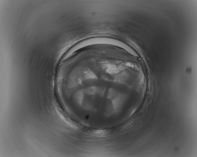 X0000114720059200911181414