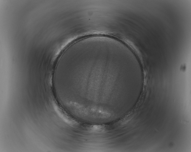 X0000114720060200911181414