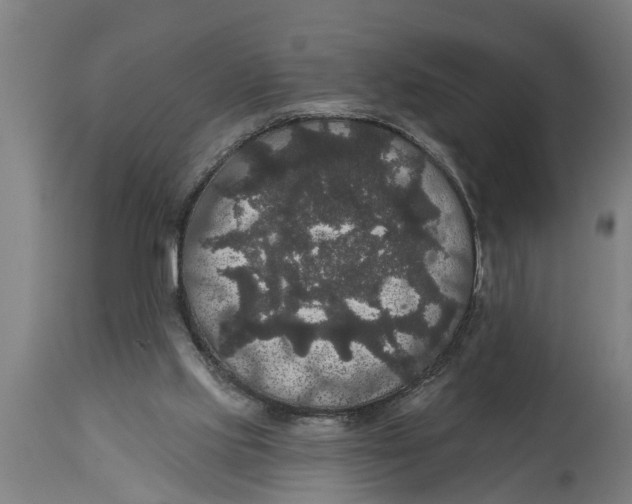 X0000114720061200911181414