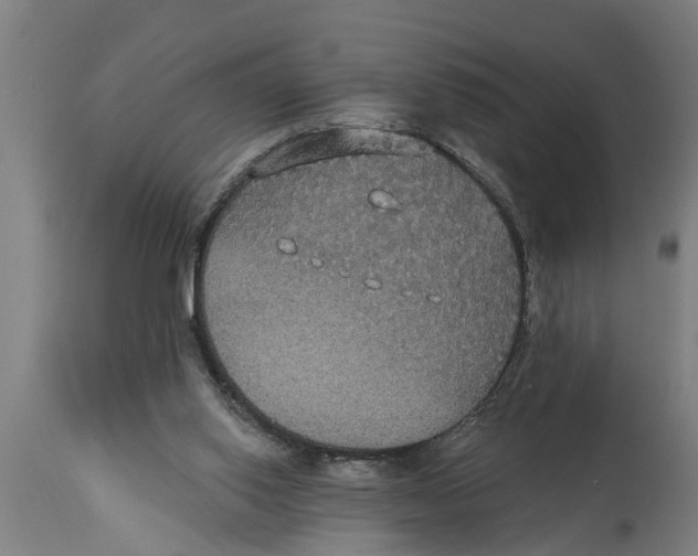 X0000114720062200911181414