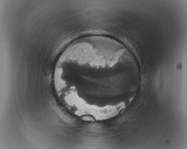 X0000114720063200911181414