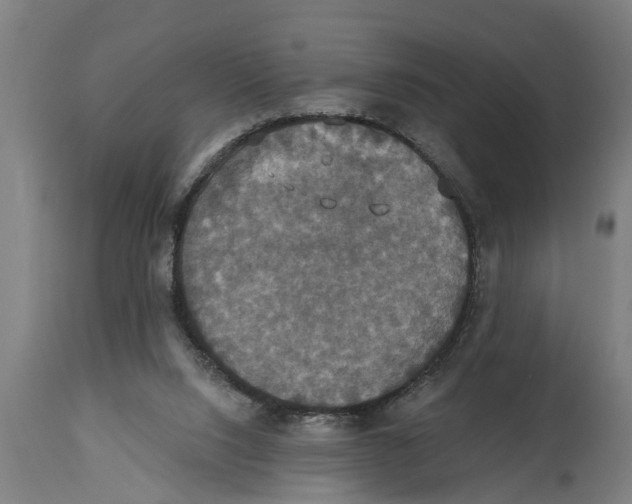 X0000114720064200911181414