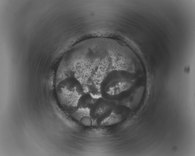 X0000114720065200911181414