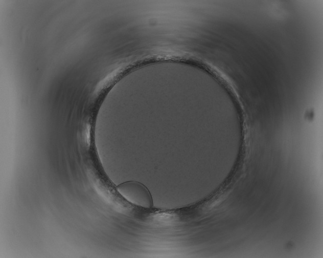 X0000114720067200911181414