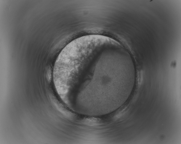 X0000114720069200911181414