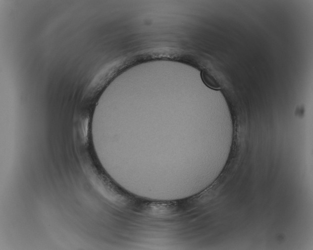 X0000114720070200911181414