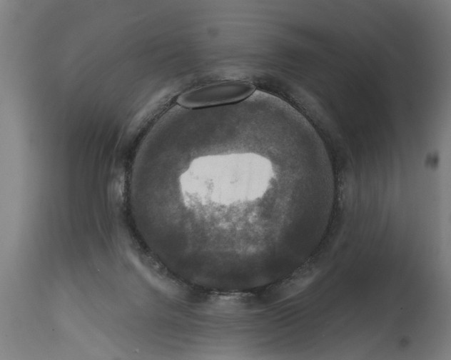 X0000114720072200911181414