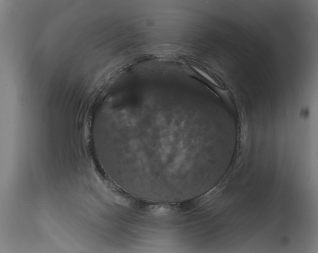 X0000114720074200911181414