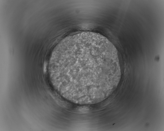 X0000114720075200911181414