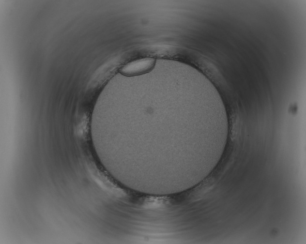 X0000114720077200911181414