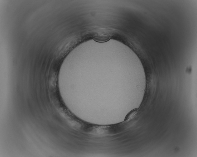 X0000114720078200911181414