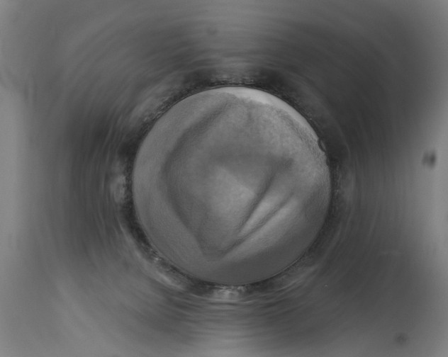 X0000114720080200911181414