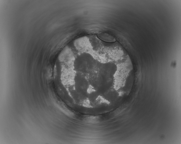 X0000114720081200911181414