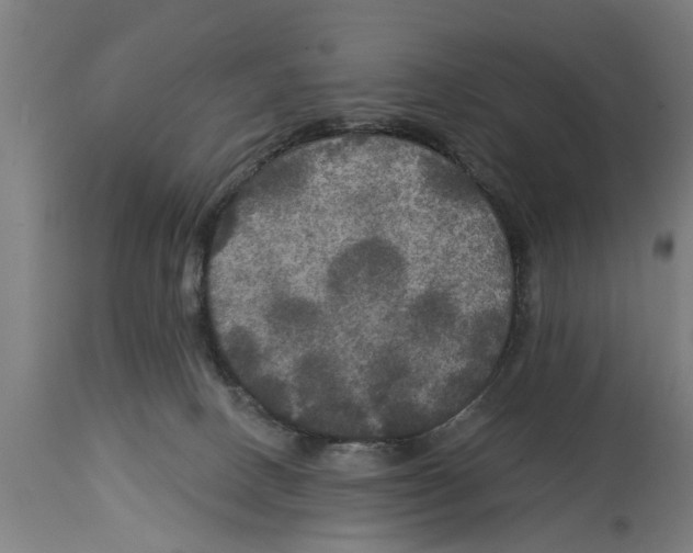 X0000114720082200911181414