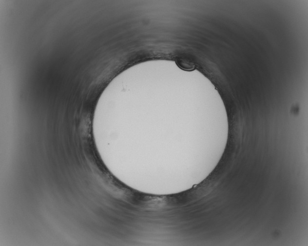 X0000114720083200911181414