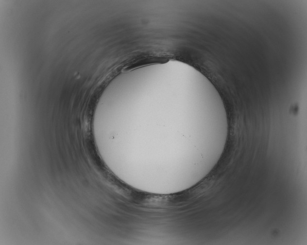 X0000114720084200911181414