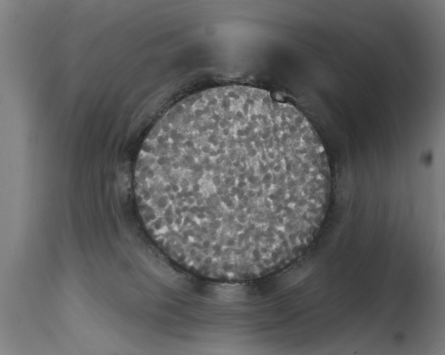 X0000114720085200911181414