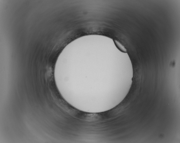 X0000114720087200911181414