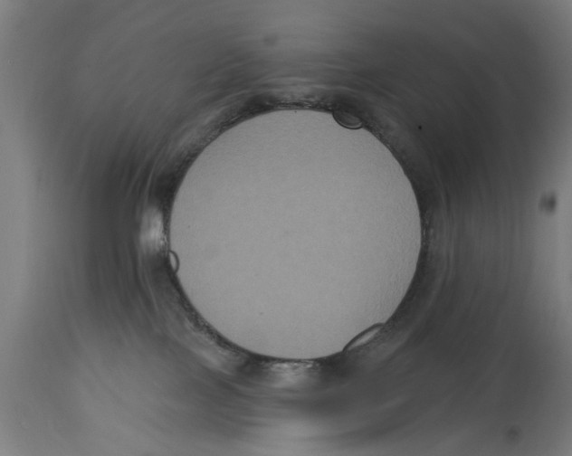 X0000114720089200911181414