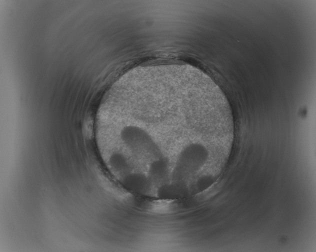 X0000114720090200911181415