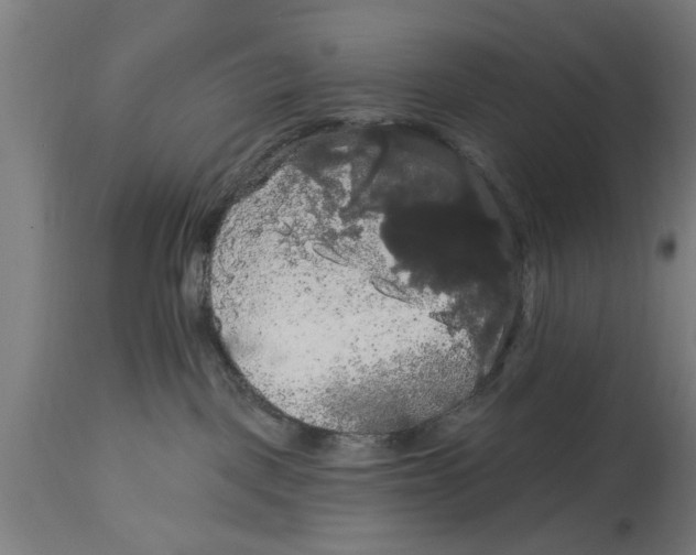 X0000114720093200911181415