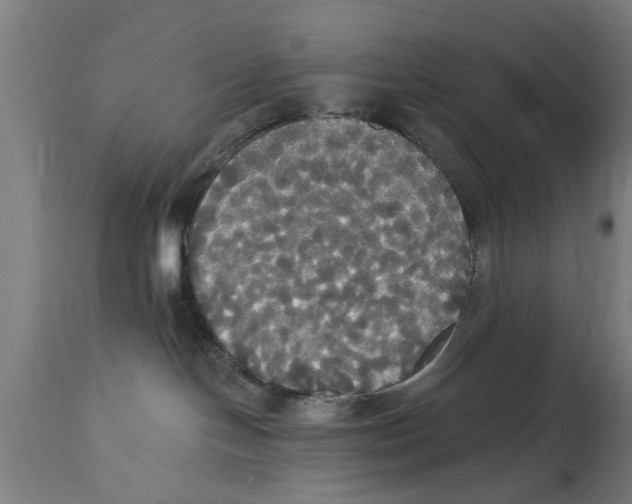 X0000114720094200911181415