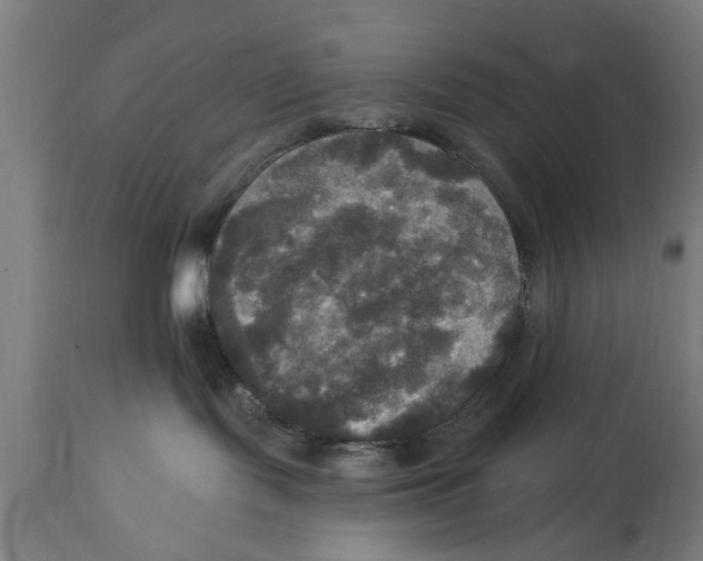 X0000114720095200911181415