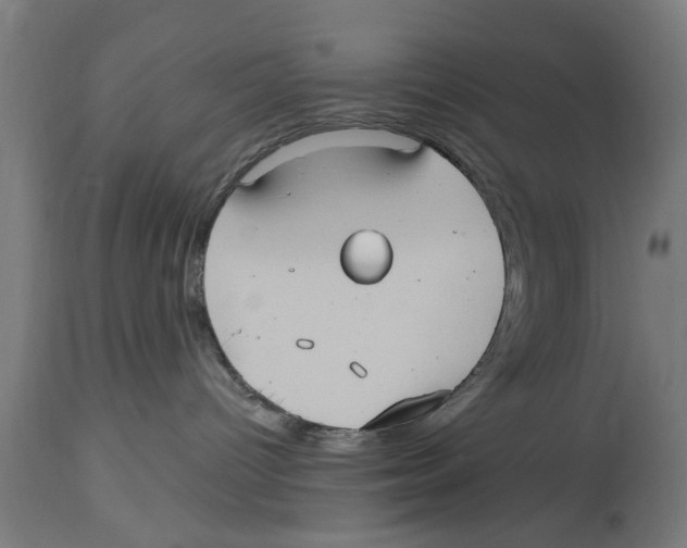 X0000114720096200911181415