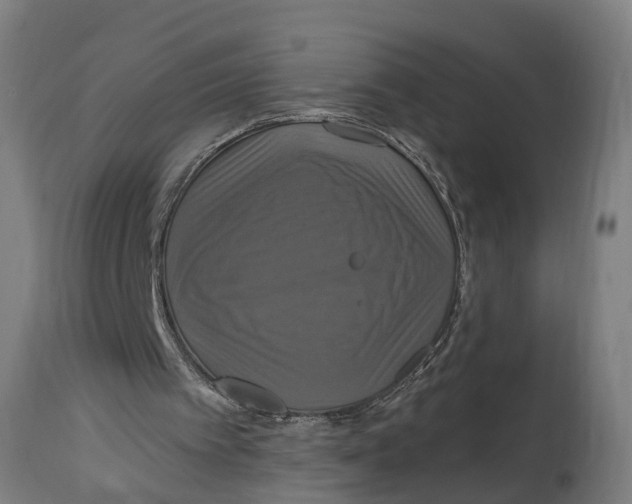 X0000114720097200911181414