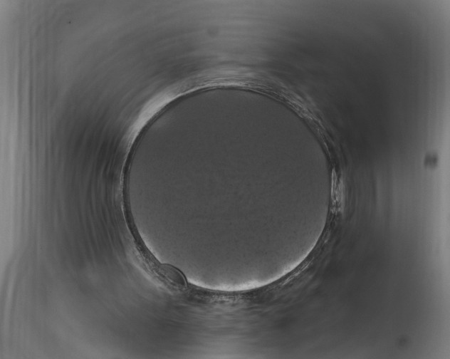 X0000114720099200911181414