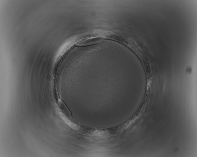 X0000114720101200911181414