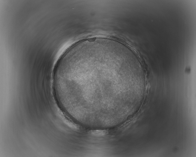 X0000114720102200911181414