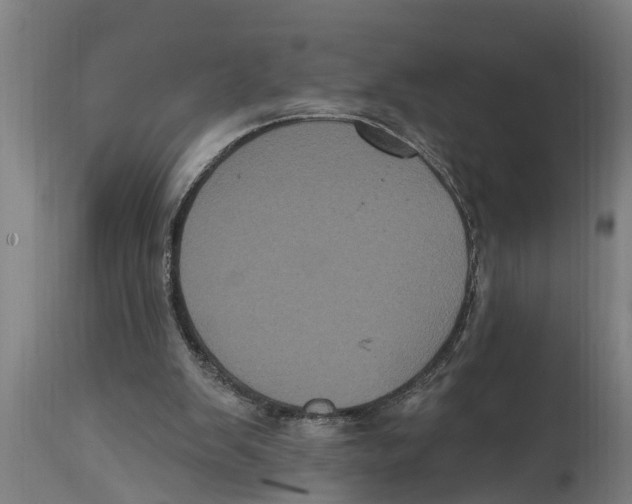 X0000114720103200911181414