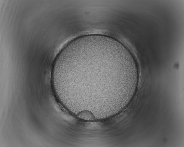 X0000114720107200911181414