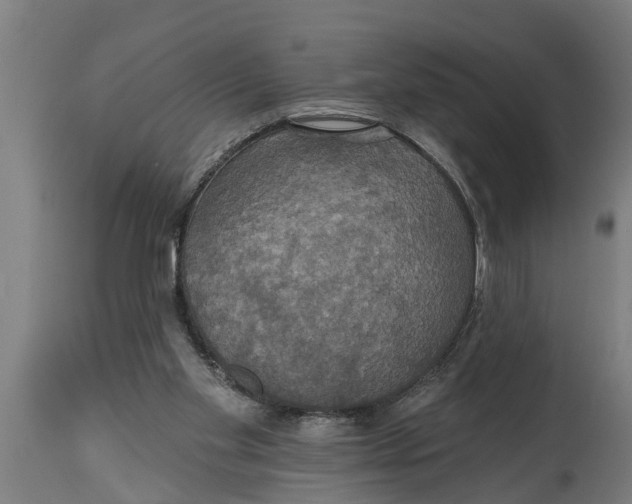 X0000114720109200911181414