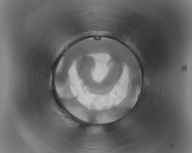 X0000114720110200911181414