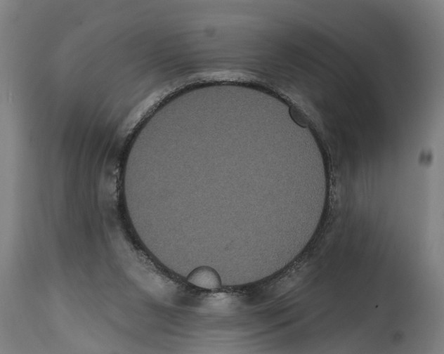 X0000114720111200911181414