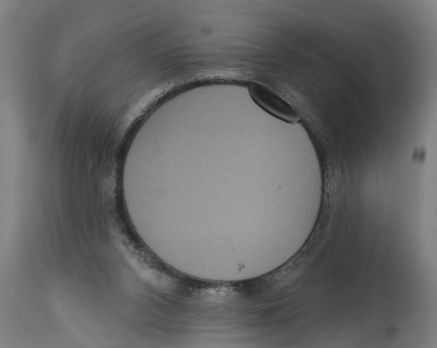 X0000114720112200911181414