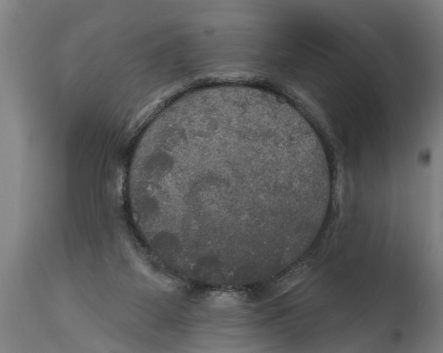 X0000114720115200911181414