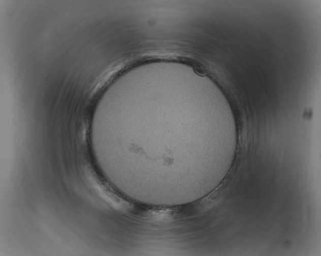 X0000114720120200911181414