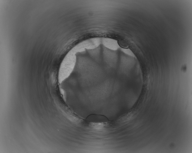 X0000114720131200911181413