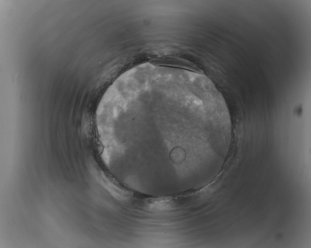 X0000114720132200911181413