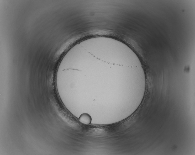 X0000114720159200911181412