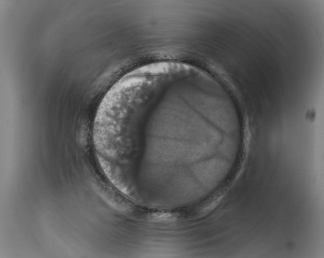 X0000114720161200911181412