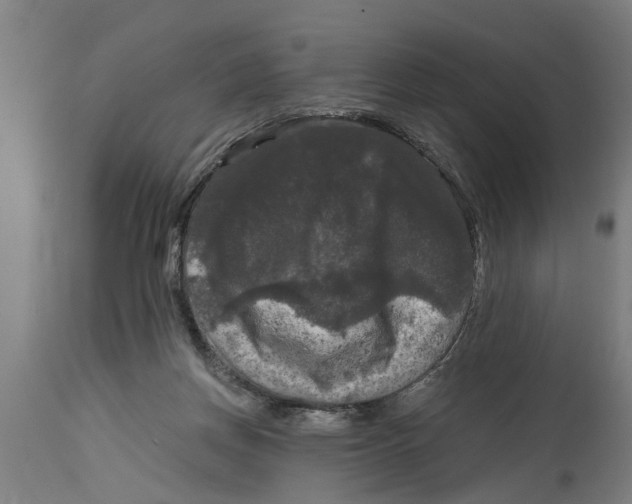 X0000114720166200911181413