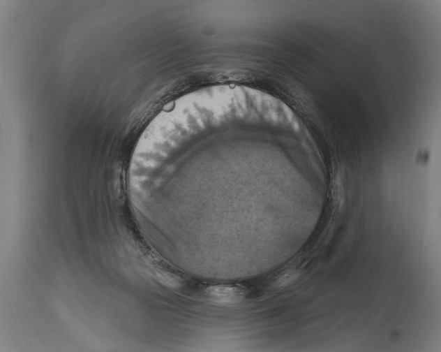 X0000114720169200911181413