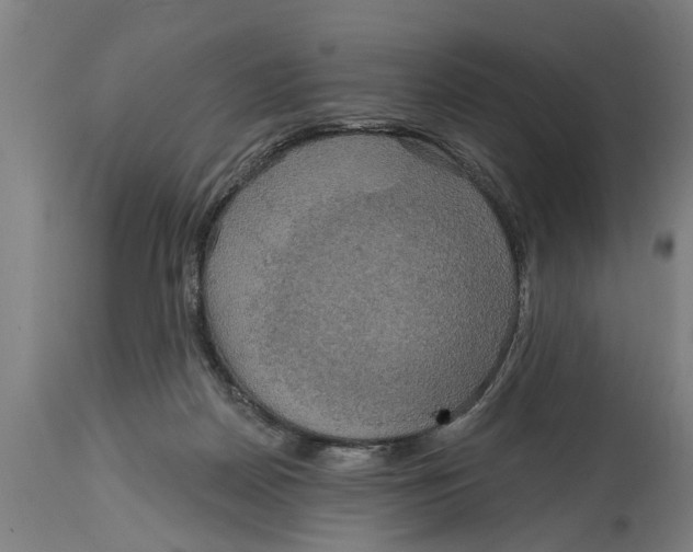 X0000114720170200911181413