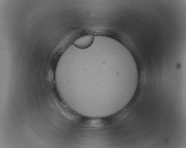 X0000114720173200911181413