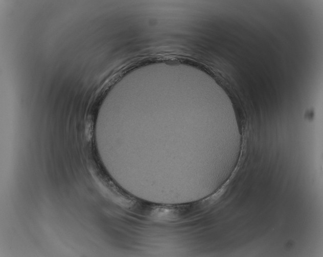 X0000114720174200911181413